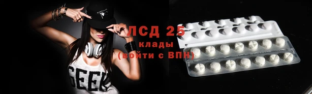 амф Алексин