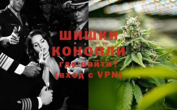 амф Алексин