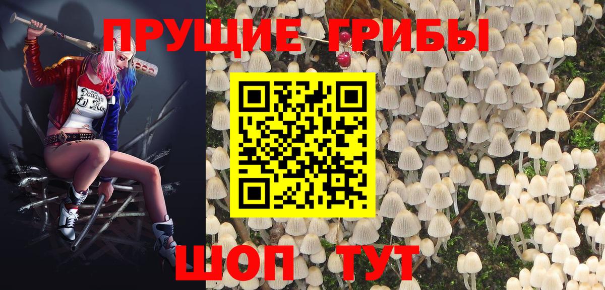 Псилоцибиновые грибы GOLDEN TEACHER Елизово