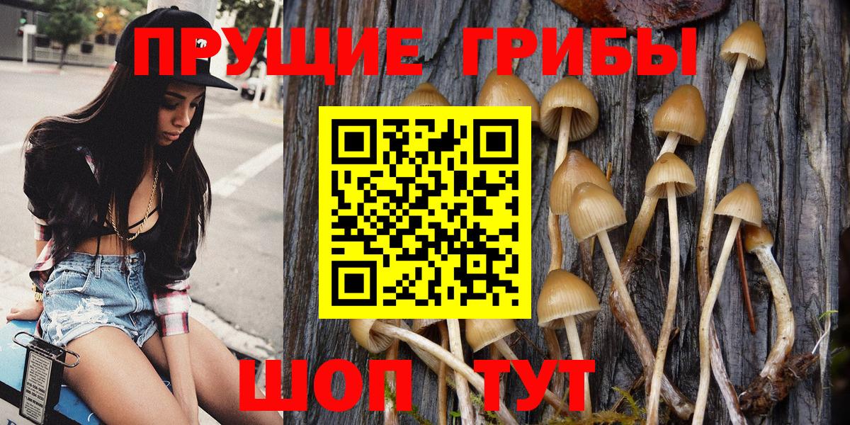 Галлюциногенные грибы Cubensis  продажа наркотиков  Елизово  Вход с VPN 